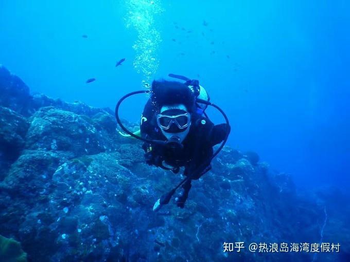 冷知识分享平台-“烽烟滚滚唱英雄,四面青山侧耳听”是什么歌
